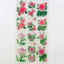 Load image into Gallery viewer, Sticker Mariatereshia & Naema Clear Mat | sl-144