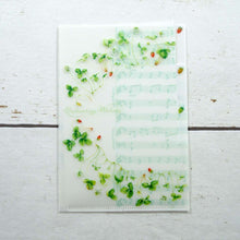 Load image into Gallery viewer, Clear Folder A6 Music Strawberries | cf-015