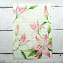 Load image into Gallery viewer, Clear Folder A4 Lily | cf-033