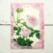 Load image into Gallery viewer, Clear Folder A5 Misuarisu | cf-037