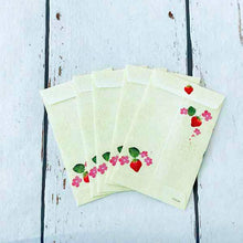 Load image into Gallery viewer, Coin Envelope Multipurpose Hanko Strawberries | pch-094
