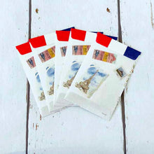 Load image into Gallery viewer, Coin Envelope Multipurpose Paris | pch-097