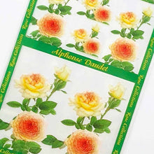 Load image into Gallery viewer, Sticker Alfonso Dote | sl-135