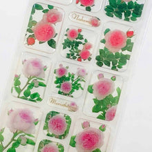 Load image into Gallery viewer, Sticker Mariatereshia & Naema Clear Mat | sl-144