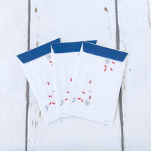 Load image into Gallery viewer, Coin Envelope Pond of Goldfish (Pocket Money in Summer) | pch-125