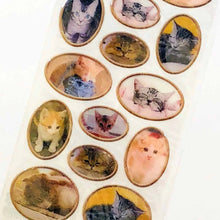 Load image into Gallery viewer, Sticker Oval Sticker Kitten | sl-151