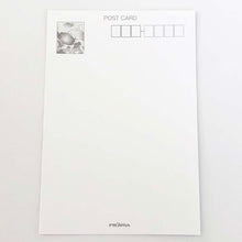 Load image into Gallery viewer, Seasons Postcard Mid-summer Greeting Pink and Blue Morning Glory 1 Pieces | npc-244