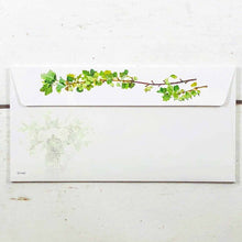 Load image into Gallery viewer, Envelope White Roses and Currants | ev-442