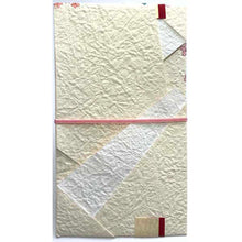 Load image into Gallery viewer, Shugi-bukuro Japanese Traditional Money Envelope Kotobuki Happy Crane | sg-241