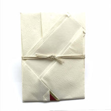 Load image into Gallery viewer, Shugi-bukuro Japanese Traditional Money Envelope Tokujo Phoenix Ⅱ (Approximate 1000000) | sg-108