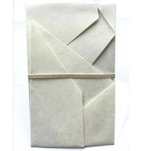 Load image into Gallery viewer, Shugi-bukuro Japanese Traditional Money Envelope Kotobuki Midoritsuru Large-Format | sg-140