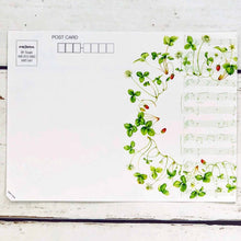 Load image into Gallery viewer, Seacret Postcard Letter Music Strawberries | hmt-041