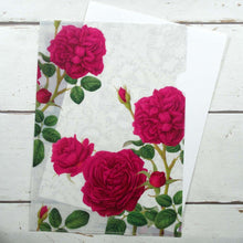 Load image into Gallery viewer, Clear Folder A4 Saint Exupery | cf-011