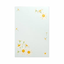 Load image into Gallery viewer, Postcard Pad Sky Blue and Daisy | hgs-399