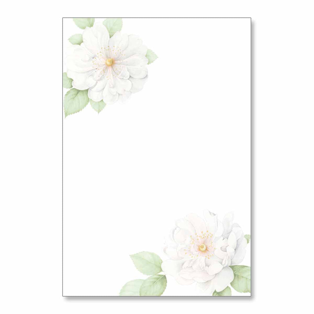Seasons Postcard Mournings White Camellia | mpc-037