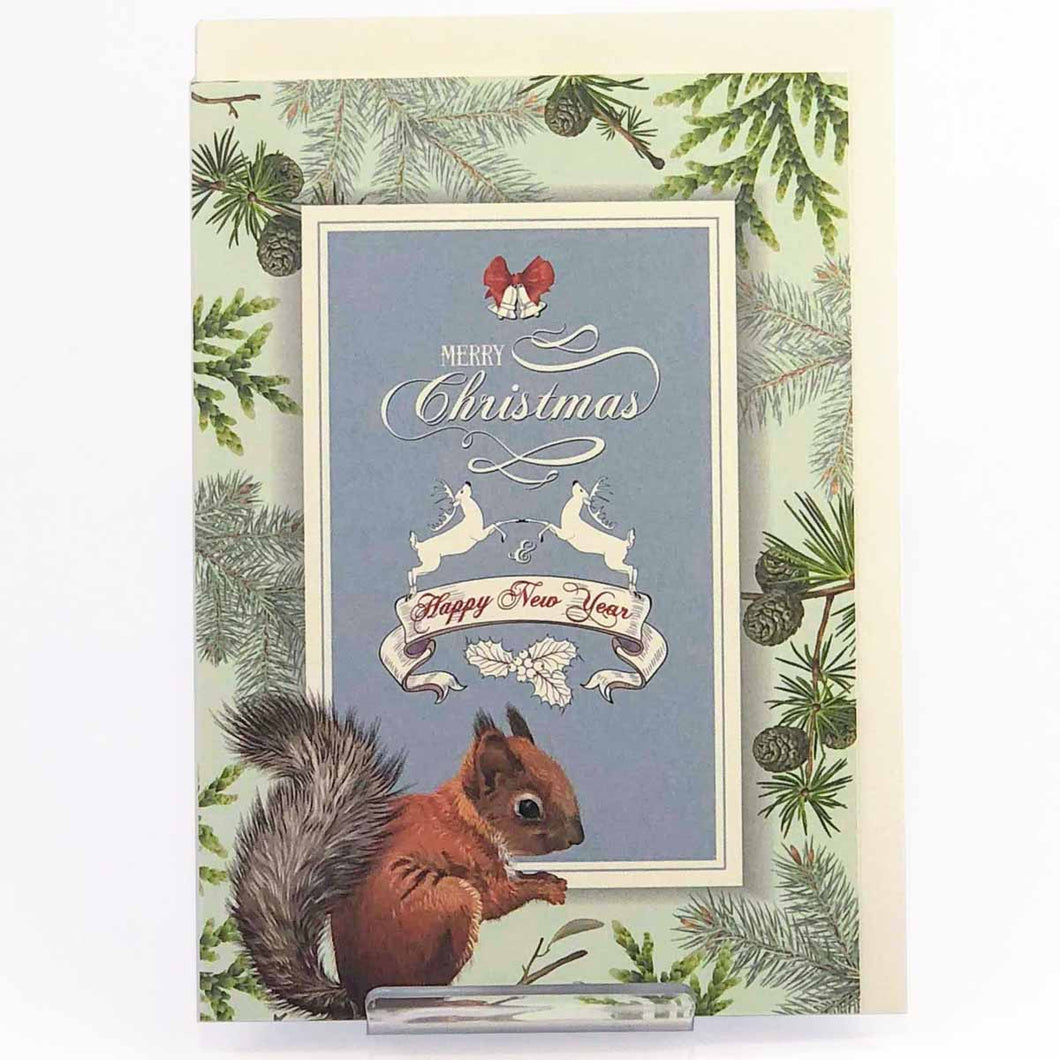 Greeting Card Christmas Card Classic Baby Squirrel | xcd-259