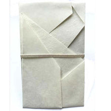 Load image into Gallery viewer, Shugi-bukuro Japanese Traditional Money Envelope Kotobuki Midoritsuru Large-Format | sg-140
