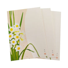 Load image into Gallery viewer, Seasons Postcard Mid-winter Greeting Daffodils | kpc-029
