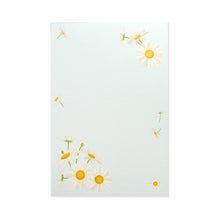 Load image into Gallery viewer, Postcard Pad Sky Blue and Daisy | hgs-399
